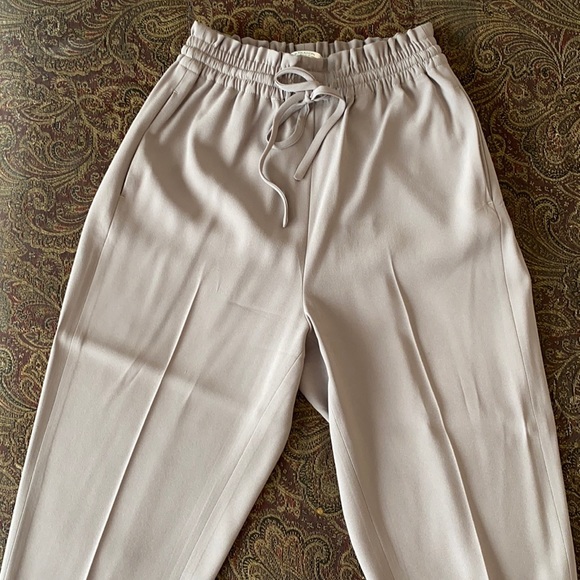Babaton Pants - Aritzia fancy joggers!